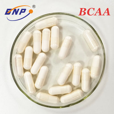 O suplemento BCAA ao vegetariano ramificou cápsula do ácido aminado da corrente